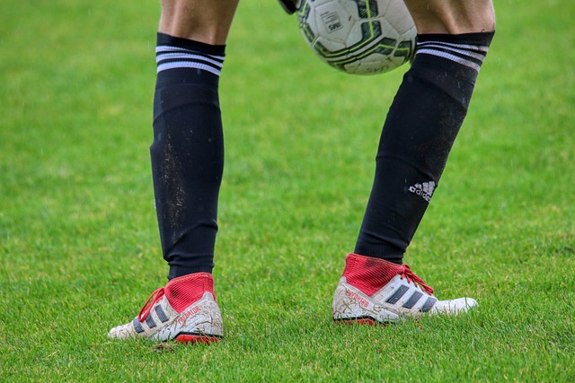 41岁罗本已成为职业板网球手，拥有3个积分世界排名第1980位